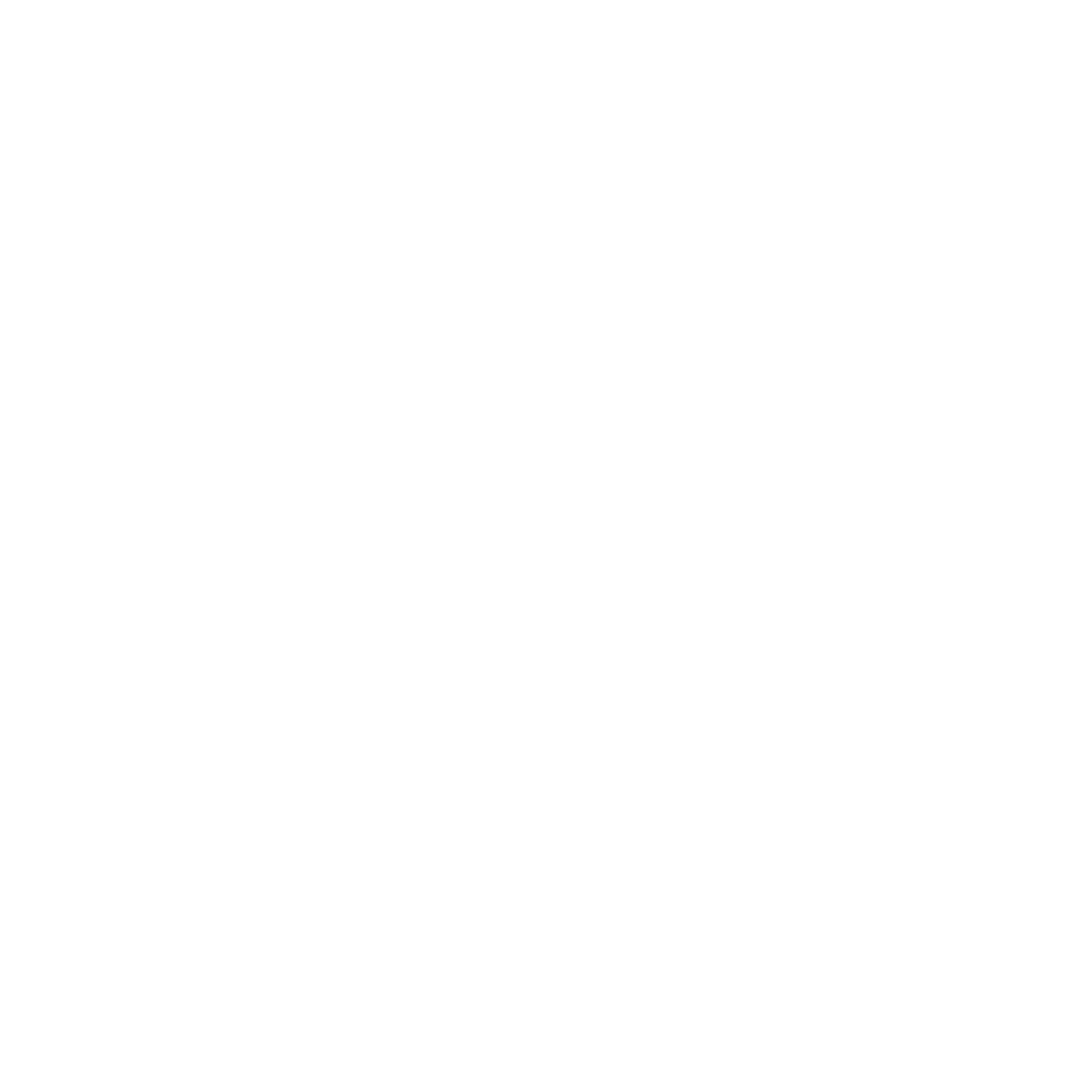 Logo Armadillo